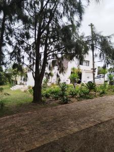 un arbre devant une maison blanche dans l'établissement Rivers edge cottage, à Stilbaai 7 autres photos