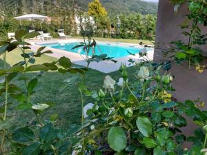 a swimming pool in a yard with a plant at Villa Cristina modern farmhouse with Private Pool in Monsagrati