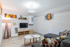 TV a/nebo společenská místnost v ubytování Apartamento Jana Santillana del Mar