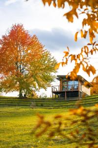 a gazebo in a field with a tree at Utopia by NorAtlas Heritage - Adults Only in Buzau