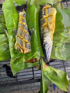 Jídlo v prázdninového domu nebo okolí