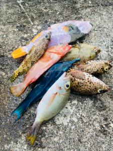 Afbeelding uit fotogalerij van Casa mwezi in Memboua Bouani