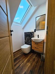 a bathroom with a toilet and a sink and a skylight at Domki Kamienne Zacisze in Uherce Mineralne (7) +35 photos