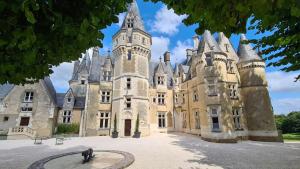 an old castle with a dog in front of it at Maison Vallée du Loir in Saint-Rimay