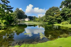 a pond in the middle of a park with trees at Maison Vallée du Loir in Saint-Rimay