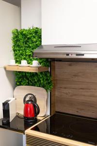 メレナラにあるLa Ciudadelaの赤茶ポット(キッチンのカウンターに座って使用)