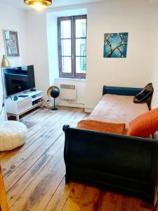 TV a/nebo společenská místnost v ubytování Jolie maison Foix