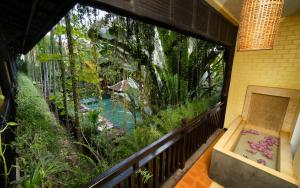 Zahrada ubytování Residence Indochine Suite