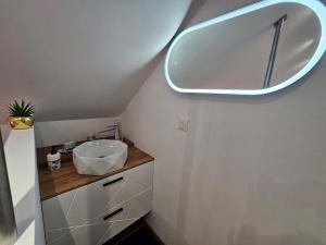 a bathroom with a sink and a mirror on the wall at O Cottage E Lavisse in Le Nouvion-en-Thiérache +8 photos