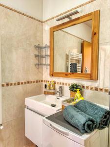 巴德小基希海姆Maibrunn apartment Dali, ski-in&out的浴室里有洗手池和镜子