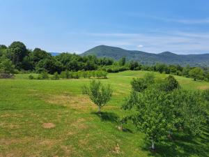 a green field with trees and mountains in the background at Guesthouse Zafran in Smoljanac