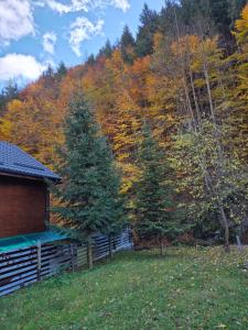 Příroda nedaleko prázdninového domu