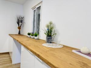 eine Küche mit einer Holztheke mit Topfpflanzen darauf in der Unterkunft Alc Homes in Alicante + 11 Fotos