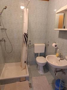 een badkamer met douche, toilet en wastafel bij Guesthouse Zafran in Smoljanac