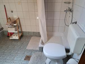 een badkamer met een wit toilet en een douche bij Guesthouse Zafran in Smoljanac +22 foto's