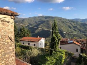 Příroda nedaleko prázdninového domu