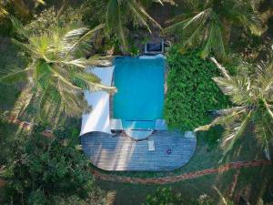 an overhead view of a swimming pool between two palm trees at Turtle Cove Self-Catering Lodge & Yoga Shala in Praia do Tofo