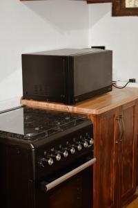 シュルシュルウェにあるIhlozi Bush Lodgeの電子レンジ