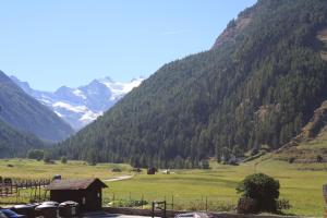 Příroda nedaleko apartmánu