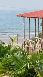 Φυσικό τοπίο κοντά σε αυτό το ξενοδοχείο