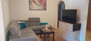 a living room with a couch and a flat screen tv at Haus Traudi in Nova Ponente
