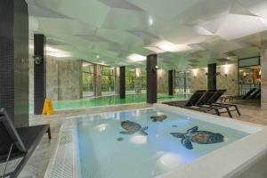 Πισίνα στο ή κοντά στο Unique Studio with Air Conditioning Sauna and Swimming Pool by Noclegi Renters