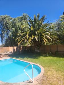 a palm tree and a swimming pool in a yard at Anique's Guest house in Beaufort West +9 photos