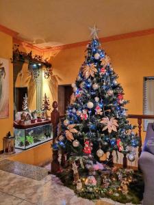 Ein Weihnachtsbaum ist in einem Wohnzimmer in der Unterkunft Hogar Gallán in Gondomar + 48 Fotos