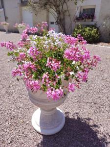 a white vase filled with pink flowers on top of gravel at Gite La Nobleterie - 4 personnes Zoo de Beauval 35min in Frédillé