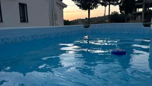 a blue swimming pool with a ball in the water at Dream's Rooms Salemi in Ulmi