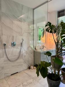 Koupelna v ubytování Private room with spa in Vila Brinje