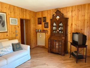 Una sala de estar con un sofá y un televisor. en Nila's nest, en SantʼAnna Pelago