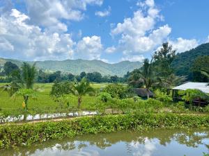 - une vue sur une ferme avec des montagnes en arrière-plan dans l'établissement Maewin Farmer Homestay, à Ban Huai Rin