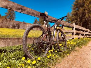 Jízda na kole v ubytování Beckenbinder Apartement Latemar nebo okolí