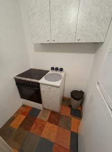 une petite cuisine avec une cuisinière et un évier dans l'établissement Stan na dan Bačka Topola, à Bačka Topola