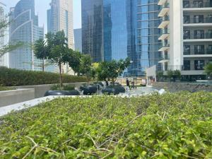 Κήπος έξω από το zada tower