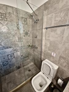 W łazience znajduje się prysznic, toaleta i prysznic. w obiekcie Alexandra Studio 11 w mieście Melíkia