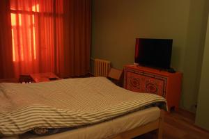 TV a/nebo společenská místnost v ubytování Cozy, one bed-room apartement in central UB