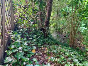 Zahrada ubytování Green River Loft