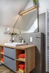 a bathroom with a sink and a mirror at Ahrenshof 7 in Bad Zwischenahn