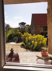 una ventana con vistas a un jardín con un banco y flores en La Chambre de la Ferme du Clos Giot, en Saint-Vaast-la-Hougue