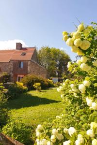 un jardín con rosas blancas frente a una casa en La Chambre de la Ferme du Clos Giot, en Saint-Vaast-la-Hougue