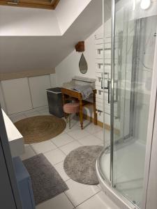 une salle de bain avec douche et lavabo et un bureau dans l'établissement MALIBAIX, à Aix-les-Bains 33 autres photos