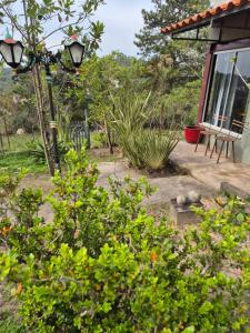 Κήπος έξω από το Maria Maria +4 φωτογραφίες