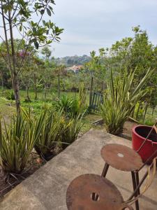 Κήπος έξω από το Maria Maria