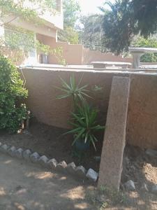 Gallery image of Vaalaton in Oranjeville