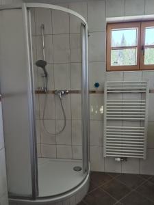 a shower stall in a bathroom with a window at große Winklerhütte in Tauplitz