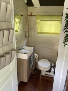 a small bathroom with a sink and a toilet at Floss Priepert 2 in Priepert