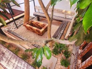 a miniature garden with a bench and a tree at Cozy 1-Bedroom Apt 3mins to Beach & Private Restaurant - TRR7 in Pointe aux Canonniers