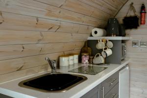 a kitchen with a sink in a tiny house at Coolaness Glamping in Irvinestown +216 photos